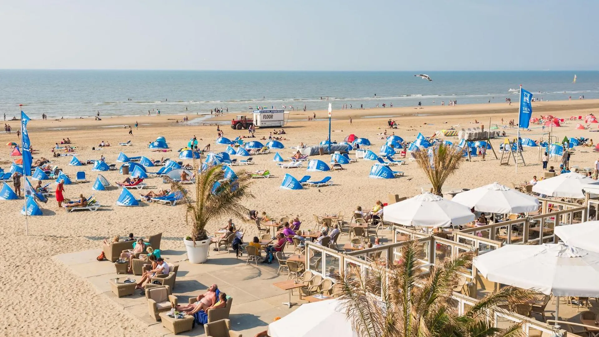Sand & Dunes Apartment Zandvoort